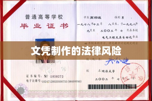 阳西文凭制作的法律风险