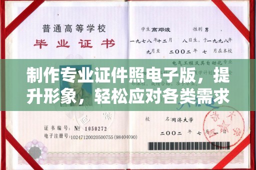 阳西制作专业证件照电子版，提升形象，轻松应对各类需求