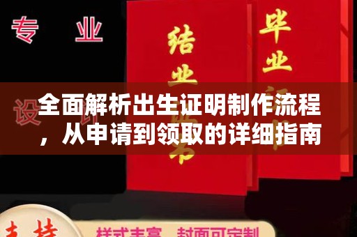 阳西全面解析出生证明制作流程，从申请到领取的详细指南