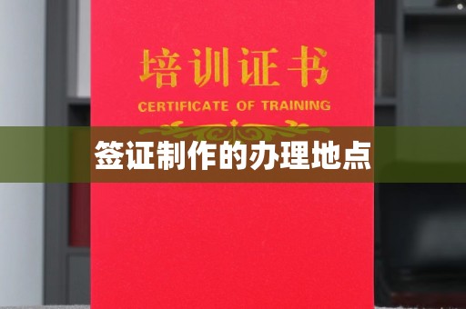 阳西签证制作的办理地点