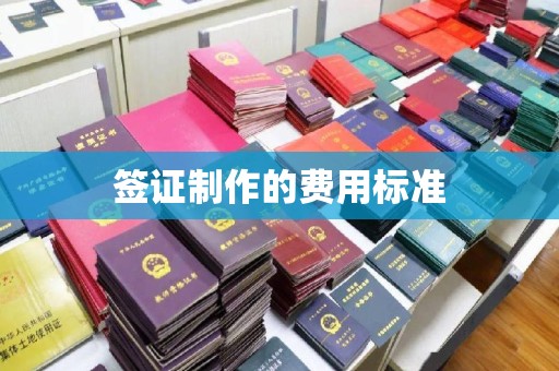 阳西签证制作的费用标准