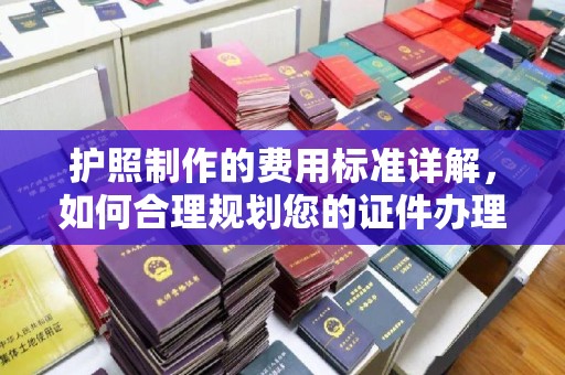阳西护照制作的费用标准详解，如何合理规划您的证件办理预算