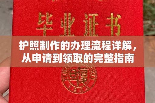 阳西护照制作的办理流程详解，从申请到领取的完整指南