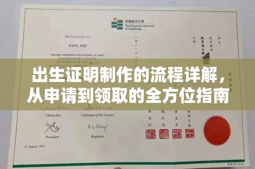 阳西出生证明制作的流程详解，从申请到领取的全方位指南