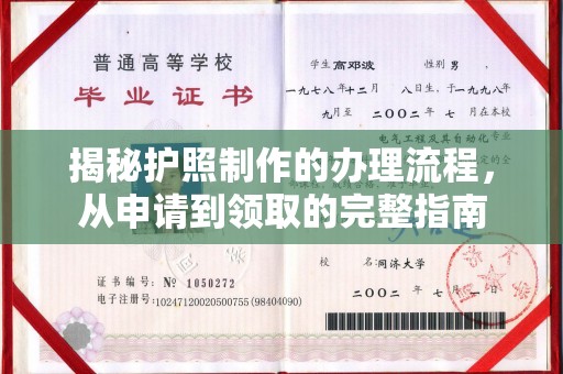 阳西揭秘护照制作的办理流程，从申请到领取的完整指南