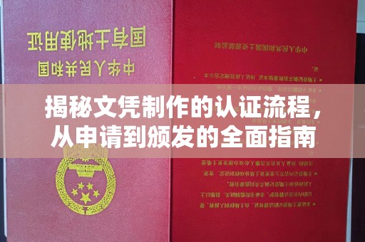 阳西揭秘文凭制作的认证流程，从申请到颁发的全面指南