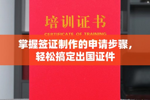 阳西掌握签证制作的申请步骤，轻松搞定出国证件