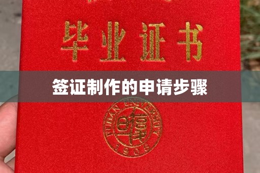 阳西签证制作的申请步骤