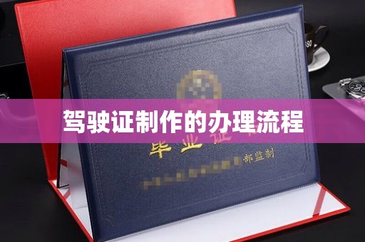 阳西驾驶证制作的办理流程