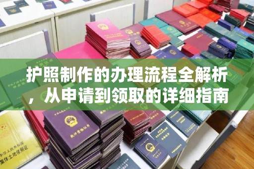 阳西护照制作的办理流程全解析，从申请到领取的详细指南