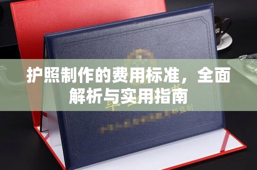阳西护照制作的费用标准，全面解析与实用指南