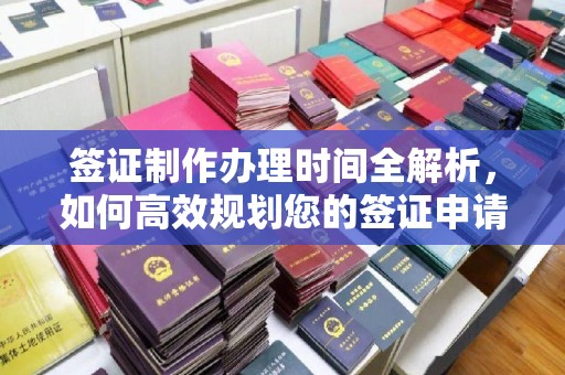 阳西签证制作办理时间全解析，如何高效规划您的签证申请流程