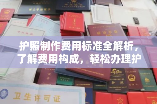 阳西护照制作费用标准全解析，了解费用构成，轻松办理护照